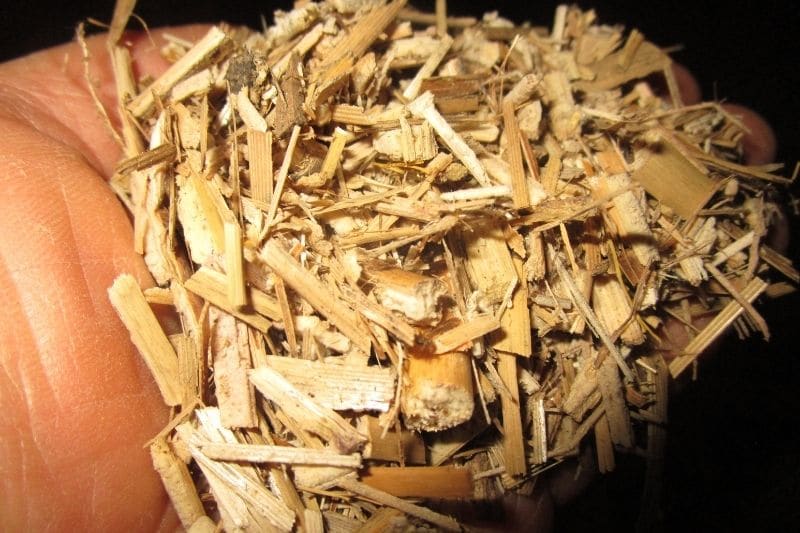 litiere-miscanthus